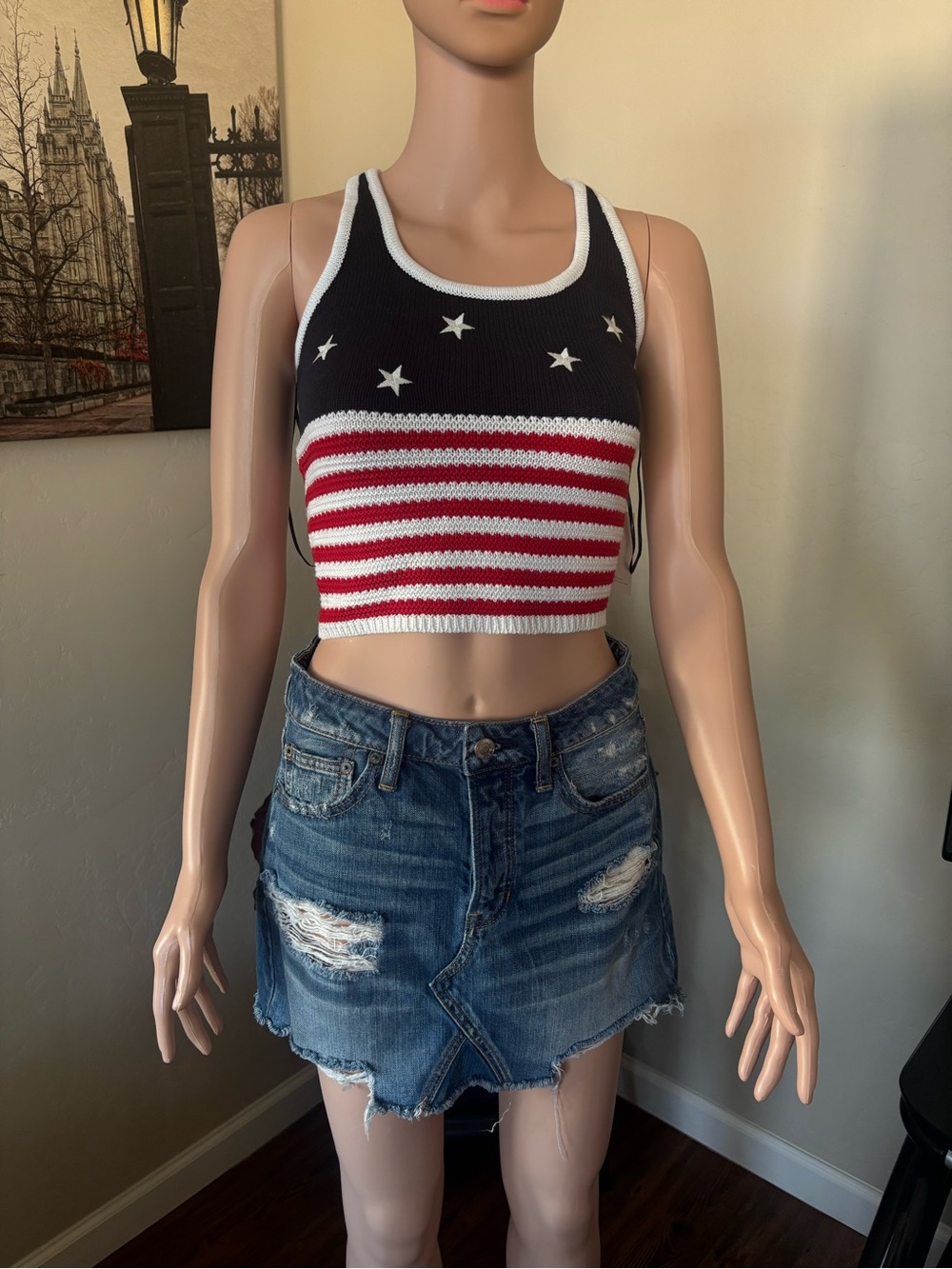Sincerly Jules Red White Blue Stars & Stripes Knit Crop Tank